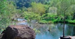 Fazenda São Roque com 96,1 hectares em Gravatal – SC Fazenda São Roque com 96,1 hectares em Gravatal – SC