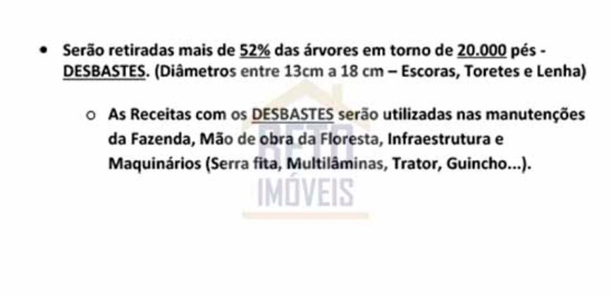Fazenda São Roque com 96,1 hectares em Gravatal – SC Fazenda São Roque com 96,1 hectares em Gravatal – SC