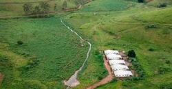 Fazenda com 350 alqueires em Miracema – RJ Fazenda com 350 alqueires em Miracema – RJ