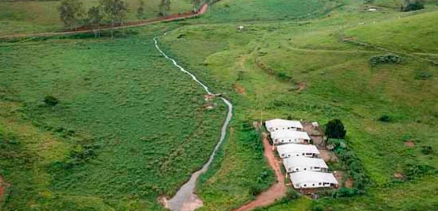 Fazenda com 350 alqueires em Miracema – RJ Fazenda com 350 alqueires em Miracema – RJ