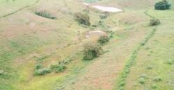 Fazenda com 350 alqueires em Miracema – RJ Fazenda com 350 alqueires em Miracema – RJ