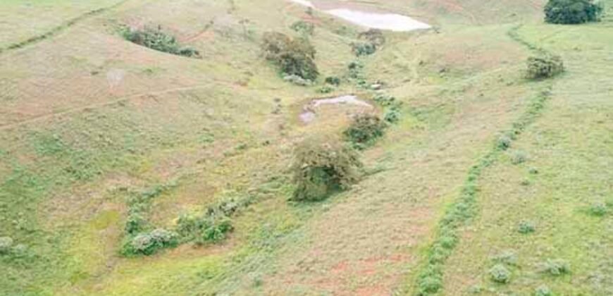 Fazenda com 350 alqueires em Miracema – RJ Fazenda com 350 alqueires em Miracema – RJ