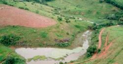 Fazenda com 350 alqueires em Miracema – RJ Fazenda com 350 alqueires em Miracema – RJ