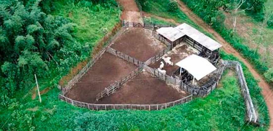 Fazenda com 350 alqueires em Miracema – RJ Fazenda com 350 alqueires em Miracema – RJ