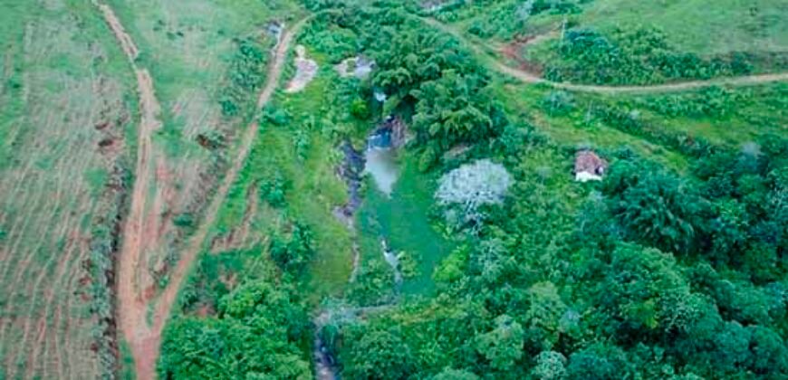 Fazenda com 350 alqueires em Miracema – RJ Fazenda com 350 alqueires em Miracema – RJ