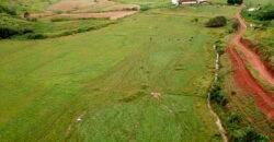 Fazenda com 350 alqueires em Miracema – RJ Fazenda com 350 alqueires em Miracema – RJ