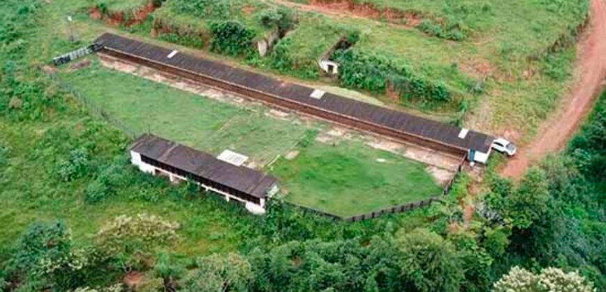 Fazenda com 350 alqueires em Miracema – RJ Fazenda com 350 alqueires em Miracema – RJ