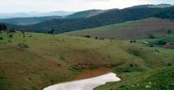 Fazenda com 350 alqueires em Miracema – RJ Fazenda com 350 alqueires em Miracema – RJ