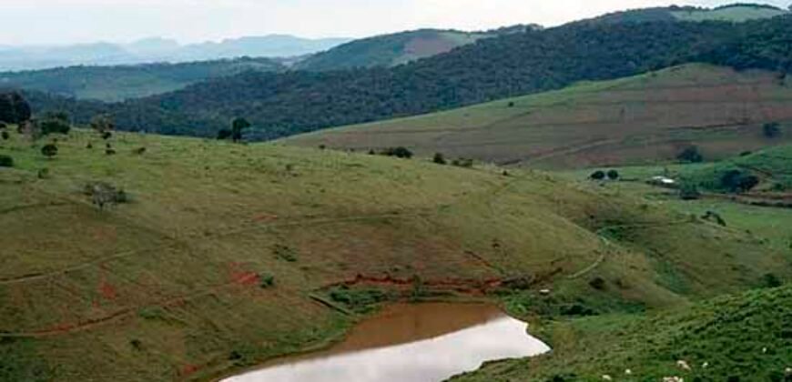 Fazenda com 350 alqueires em Miracema – RJ Fazenda com 350 alqueires em Miracema – RJ