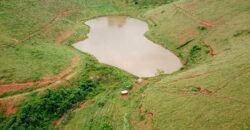 Fazenda com 350 alqueires em Miracema – RJ Fazenda com 350 alqueires em Miracema – RJ