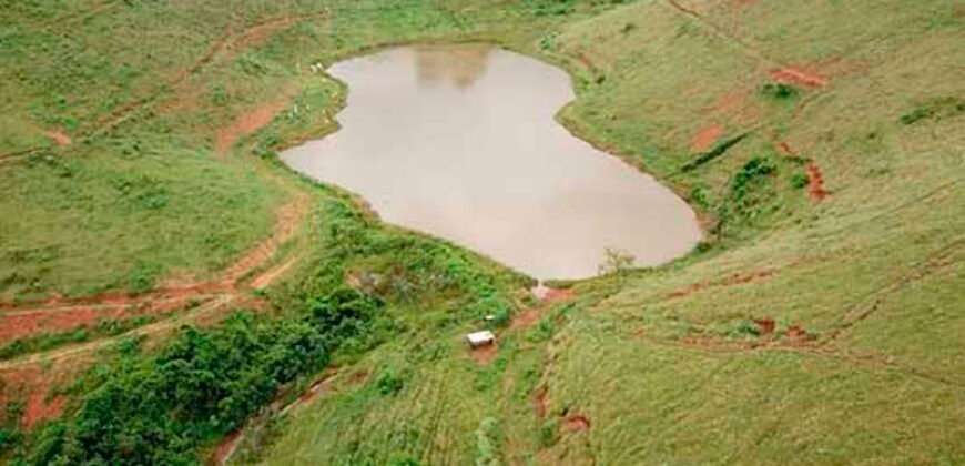 Fazenda com 350 alqueires em Miracema – RJ Fazenda com 350 alqueires em Miracema – RJ
