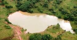 Fazenda com 350 alqueires em Miracema – RJ Fazenda com 350 alqueires em Miracema – RJ