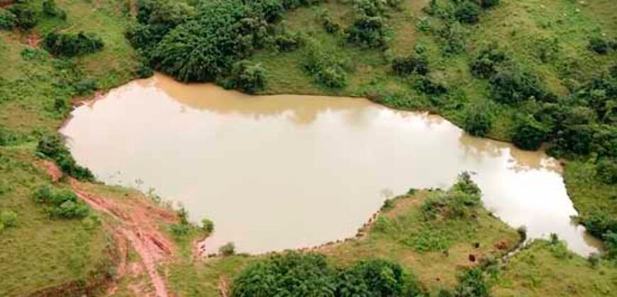 Fazenda com 350 alqueires em Miracema – RJ Fazenda com 350 alqueires em Miracema – RJ