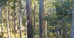 Fazenda São Roque com 96,1 hectares em Gravatal – SC Fazenda São Roque com 96,1 hectares em Gravatal – SC