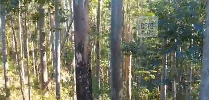 Fazenda São Roque com 96,1 hectares em Gravatal – SC Fazenda São Roque com 96,1 hectares em Gravatal – SC