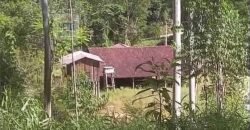 Fazenda São Roque com 96,1 hectares em Gravatal – SC Fazenda São Roque com 96,1 hectares em Gravatal – SC