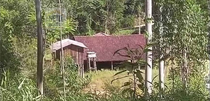 Fazenda São Roque com 96,1 hectares em Gravatal – SC Fazenda São Roque com 96,1 hectares em Gravatal – SC