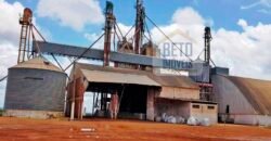 Fazenda com dupla aptidão disponível para venda em Carolina – Maranhão Fazenda com dupla aptidão disponível para venda em Carolina – Maranhão