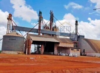 Fazenda com dupla aptidão disponível para venda em Carolina – Maranhão Fazenda com dupla aptidão disponível para venda em Carolina – Maranhão