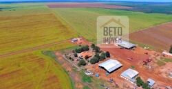 Fazenda com dupla aptidão disponível para venda em Carolina – Maranhão Fazenda com dupla aptidão disponível para venda em Carolina – Maranhão
