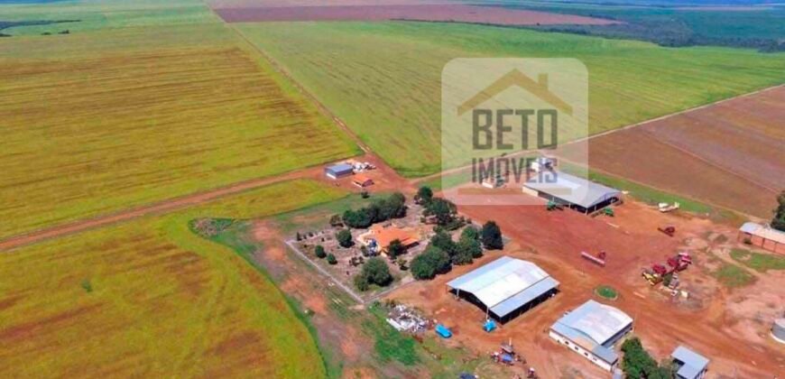 Fazenda com dupla aptidão disponível para venda em Carolina – Maranhão Fazenda com dupla aptidão disponível para venda em Carolina – Maranhão