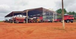 Fazenda com dupla aptidão disponível para venda em Carolina – Maranhão Fazenda com dupla aptidão disponível para venda em Carolina – Maranhão