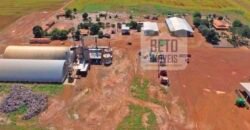 Fazenda com dupla aptidão disponível para venda em Carolina – Maranhão Fazenda com dupla aptidão disponível para venda em Carolina – Maranhão