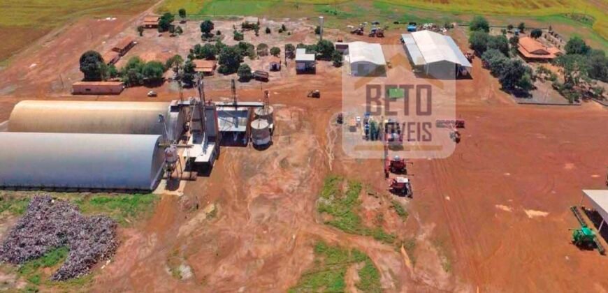 Fazenda com dupla aptidão disponível para venda em Carolina – Maranhão Fazenda com dupla aptidão disponível para venda em Carolina – Maranhão