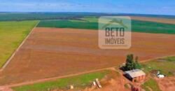 Fazenda com dupla aptidão disponível para venda em Carolina – Maranhão Fazenda com dupla aptidão disponível para venda em Carolina – Maranhão