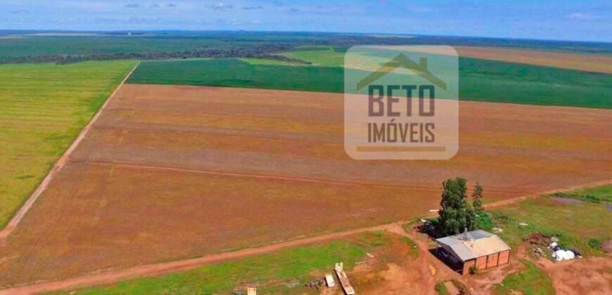 Fazenda com dupla aptidão disponível para venda em Carolina – Maranhão Fazenda com dupla aptidão disponível para venda em Carolina – Maranhão