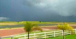 Fazenda à Venda, 6.000 hectares em Nova Olinda do Maranhão – MA Fazenda à Venda, 6.000 hectares em Nova Olinda do Maranhão – MA