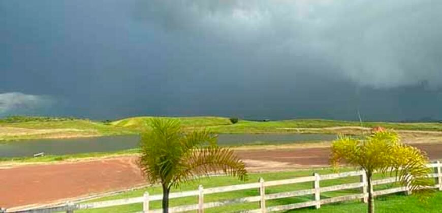Fazenda à Venda, 6.000 hectares em Nova Olinda do Maranhão – MA Fazenda à Venda, 6.000 hectares em Nova Olinda do Maranhão – MA