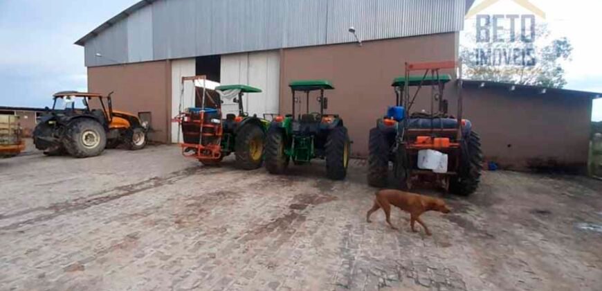 Fazenda à Venda, 6.000 hectares em Nova Olinda do Maranhão – MA Fazenda à Venda, 6.000 hectares em Nova Olinda do Maranhão – MA