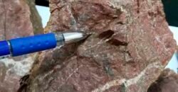 Fazenda com mineração para venda tem 24 mil hectares em Bela Vista – Altamira – PA