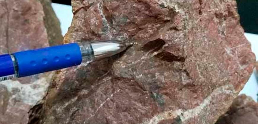 Fazenda com mineração para venda tem 24 mil hectares em Bela Vista – Altamira – PA