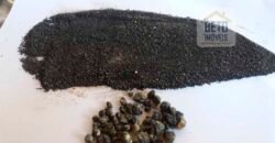 Fazenda com mineração para venda tem 24 mil hectares em Bela Vista – Altamira – PA