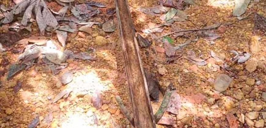 Fazenda com mineração para venda tem 24 mil hectares em Bela Vista – Altamira – PA