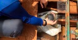 Fazenda com mineração para venda tem 24 mil hectares em Bela Vista – Altamira – PA