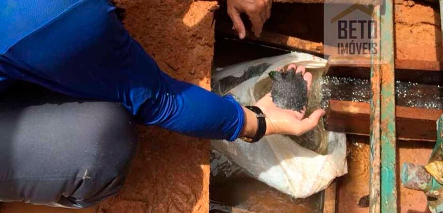 Fazenda com mineração para venda tem 24 mil hectares em Bela Vista – Altamira – PA