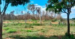 Fazenda com plantação/1574 hectares em União do Sul – MT