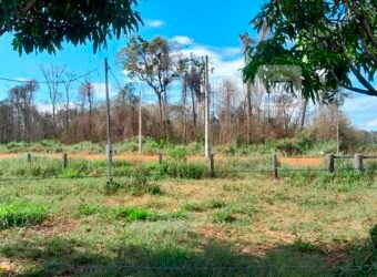 Fazenda com plantação/1574 hectares em União do Sul – MT