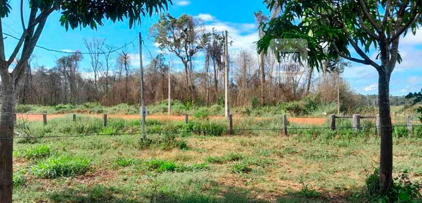 Fazenda com plantação/1574 hectares em União do Sul – MT