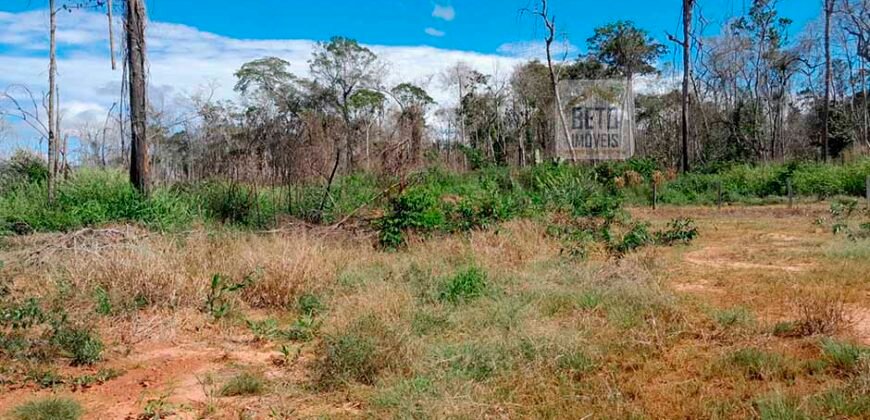 Fazenda com plantação/1574 hectares em União do Sul – MT