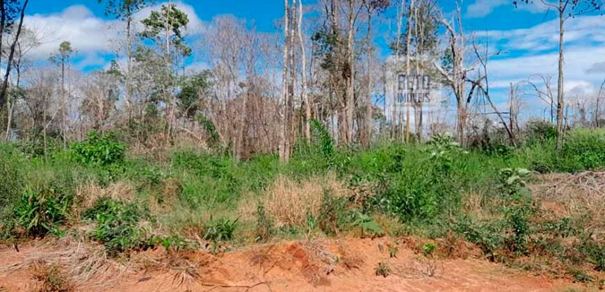 Fazenda com plantação/1574 hectares em União do Sul – MT