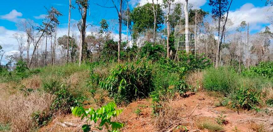 Fazenda com plantação/1574 hectares em União do Sul – MT