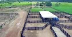 Fazenda c/ pecuária intensiva 570 alqueires em Vila Rica – MT