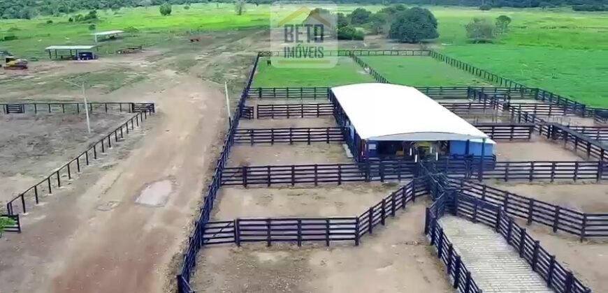 Fazenda c/ pecuária intensiva 570 alqueires em Vila Rica – MT