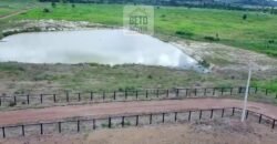 Fazenda c/ pecuária intensiva 570 alqueires em Vila Rica – MT