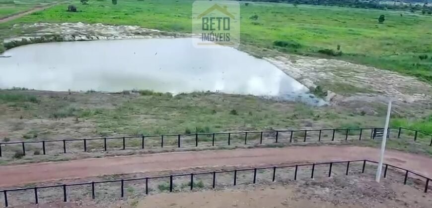 Fazenda c/ pecuária intensiva 570 alqueires em Vila Rica – MT