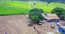 Fazenda c/ pecuária intensiva 570 alqueires em Vila Rica – MT